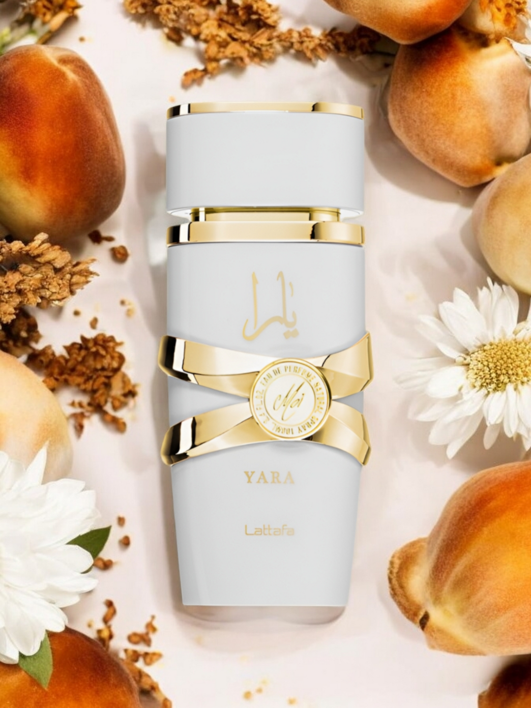 YARA MOI